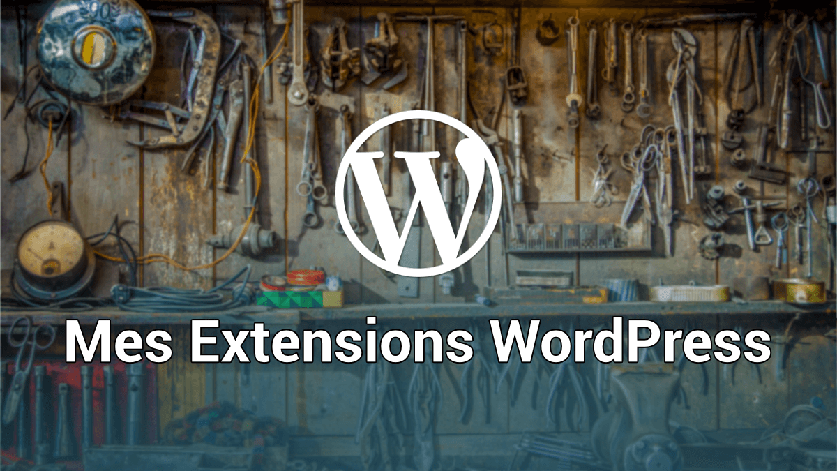 MES EXTENSIONS WORDPRESS