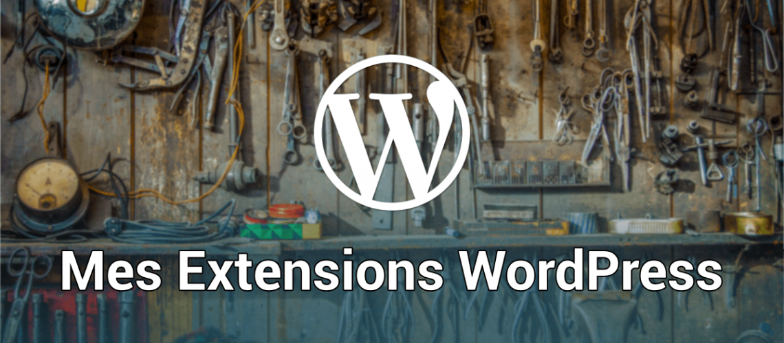 MES EXTENSIONS WORDPRESS